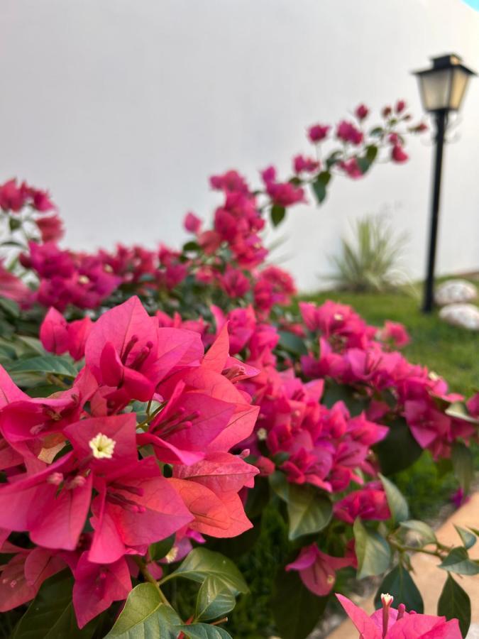 Casa Olimpia Sp Villa Dış mekan fotoğraf